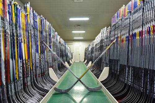 干實體 看桐企︱波力科技 打造特色觀光工廠，推動產業融合發展